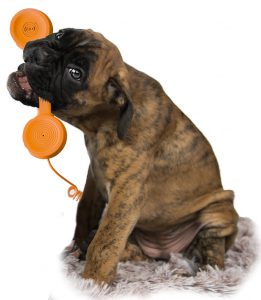 telefon